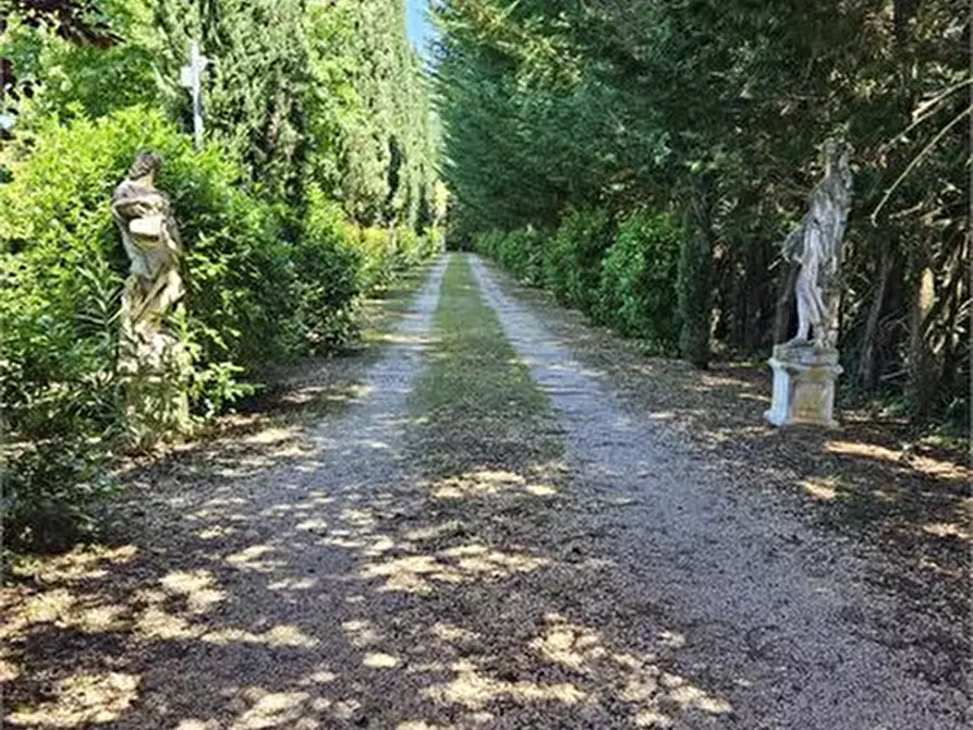 Immagine 9 di Villa in vendita  a Colle Di Val D'elsa