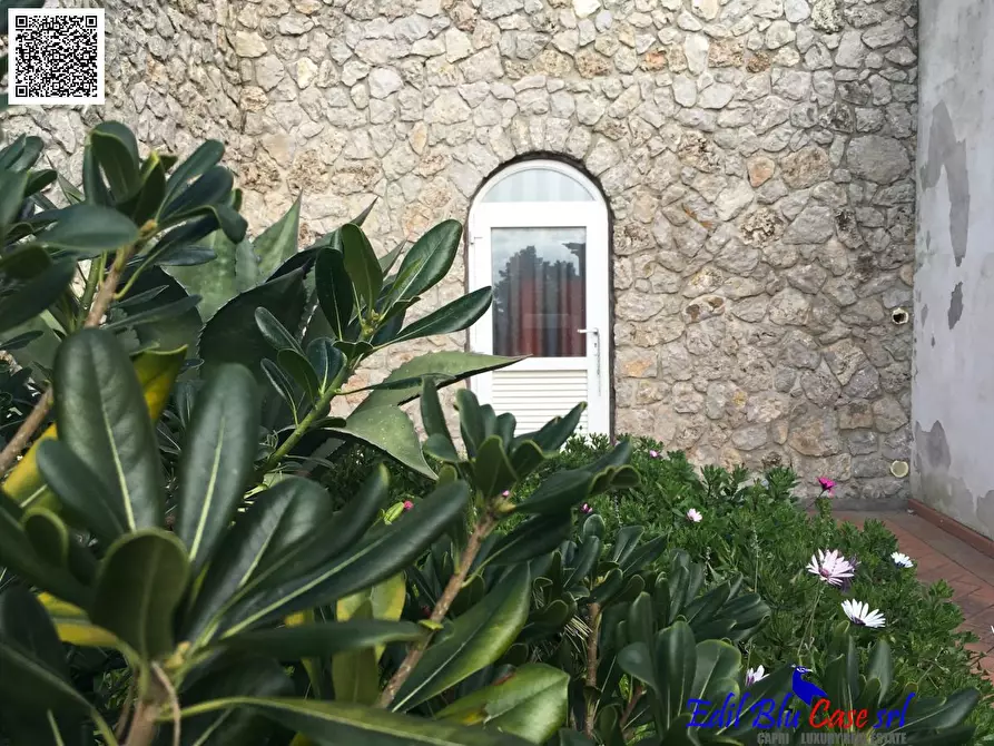 Immagine 10 di Villa in vendita  40 a Capri