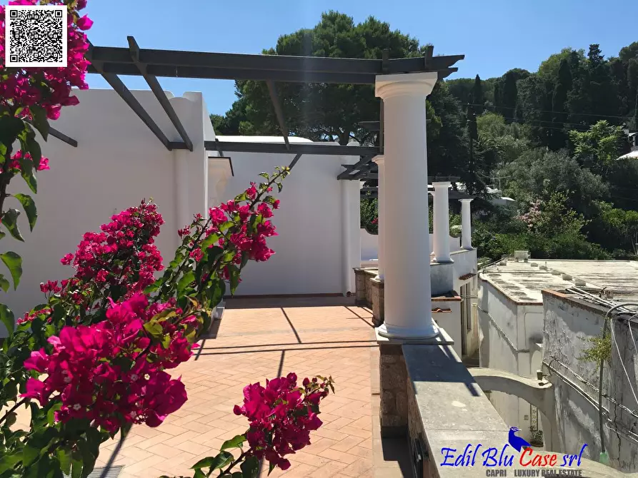 Immagine 3 di Villa in vendita  40 a Capri