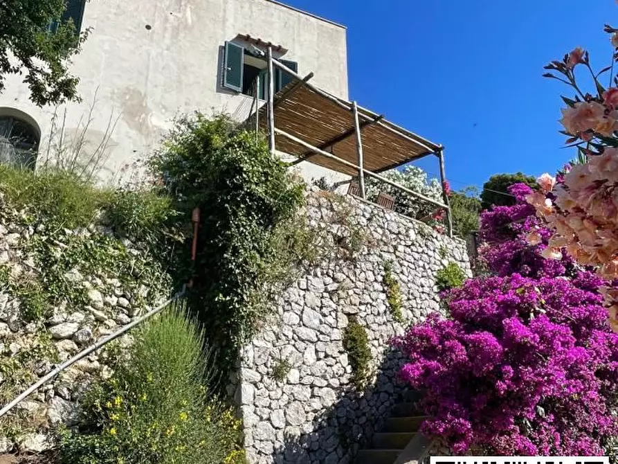 Immagine 5 di Villa in vendita  27 a Capri