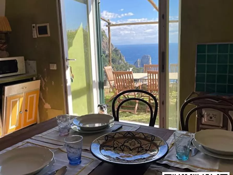 Immagine 6 di Villa in vendita  27 a Capri