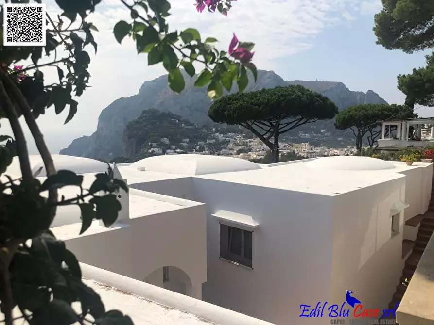 Immagine 1 di Villa in vendita  40 a Capri