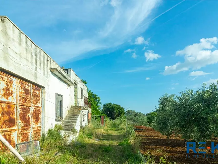 Immagine 6 di Rustico / casale in vendita  a Casarano