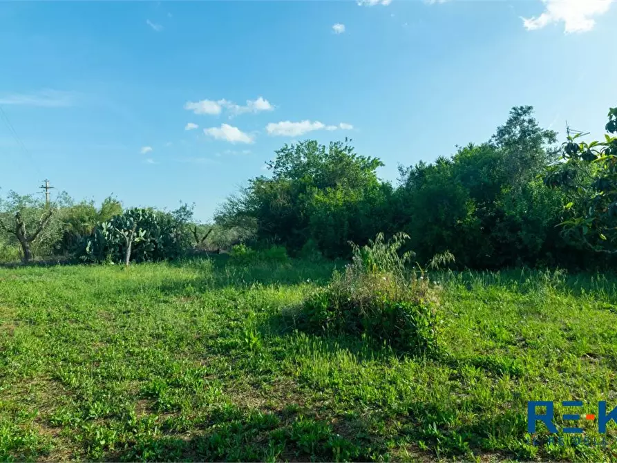 Immagine 9 di Rustico / casale in vendita  a Casarano