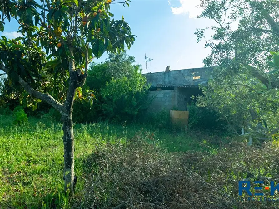 Immagine 7 di Rustico / casale in vendita  a Casarano