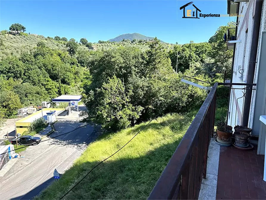 Immagine 6 di Appartamento in vendita  3 a Torri In Sabina