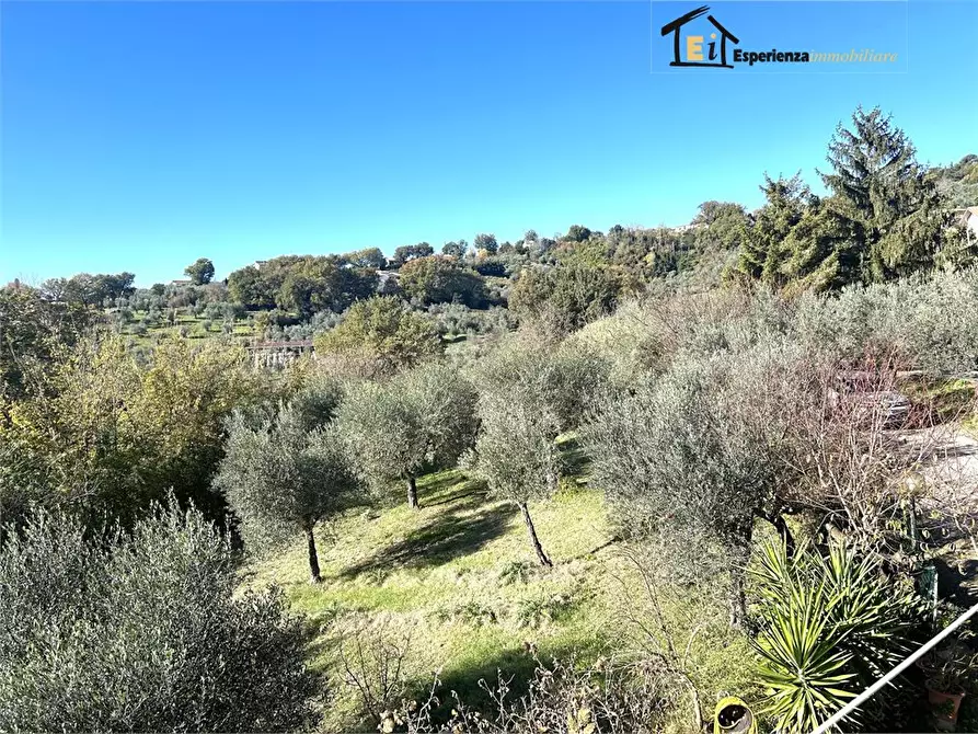 Immagine 5 di Appartamento in vendita  14 a Montopoli Di Sabina