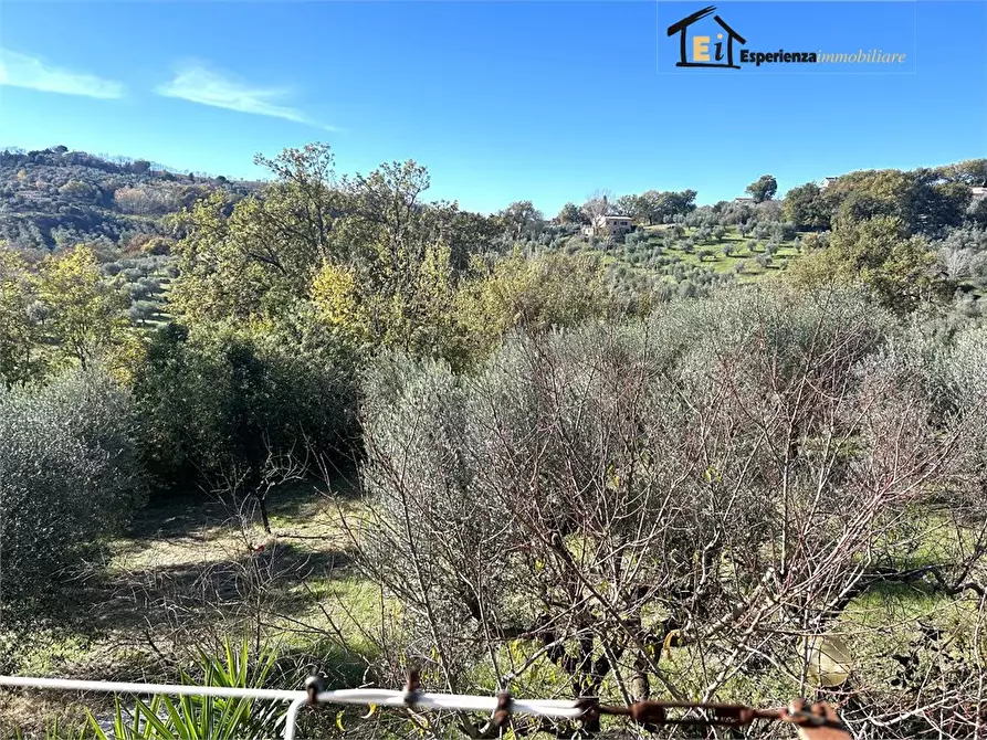 Immagine 8 di Appartamento in vendita  14 a Montopoli Di Sabina