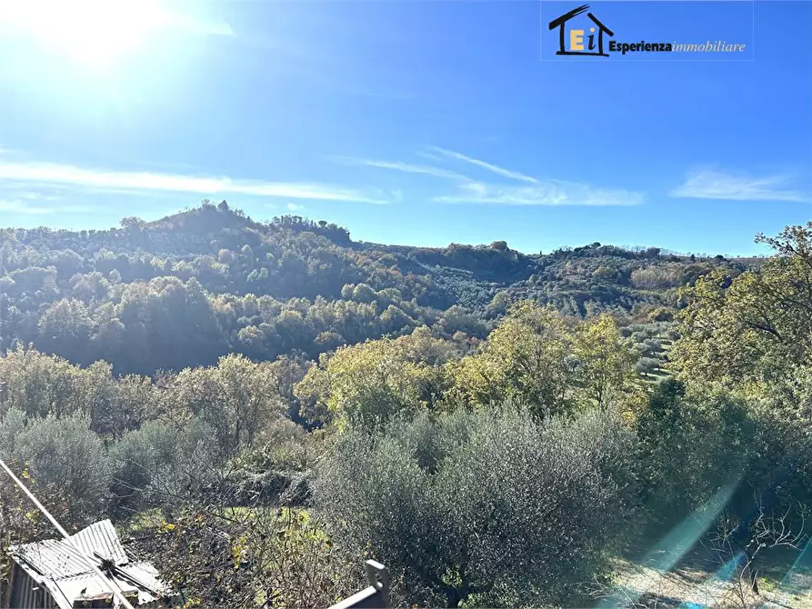 Immagine 7 di Appartamento in vendita  14 a Montopoli Di Sabina