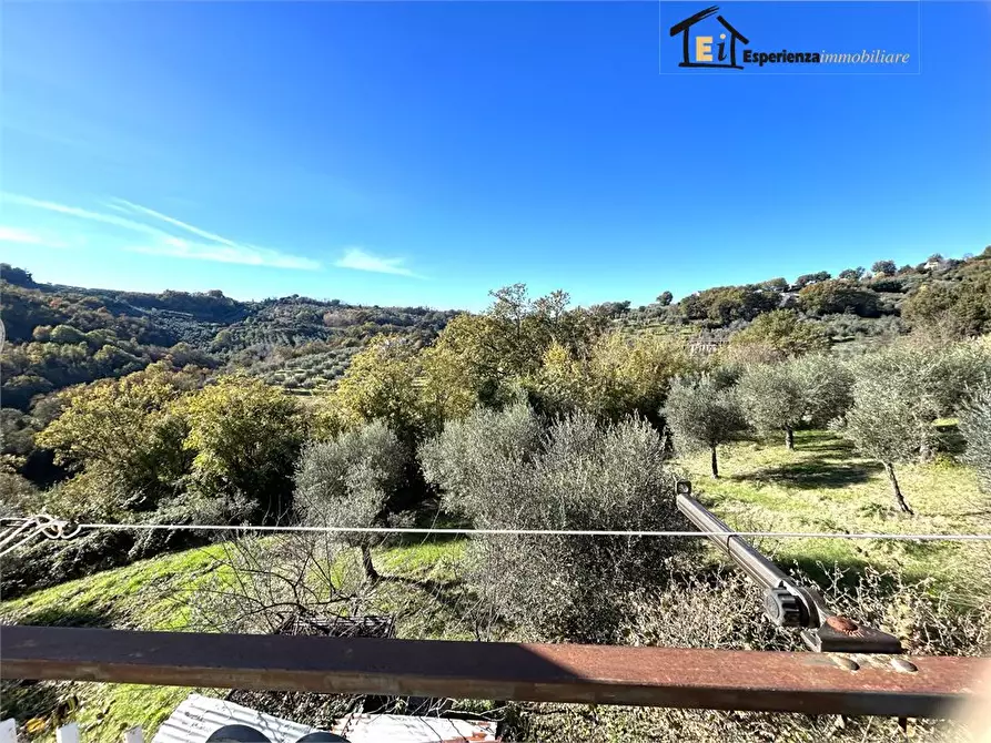 Immagine 6 di Appartamento in vendita  14 a Montopoli Di Sabina