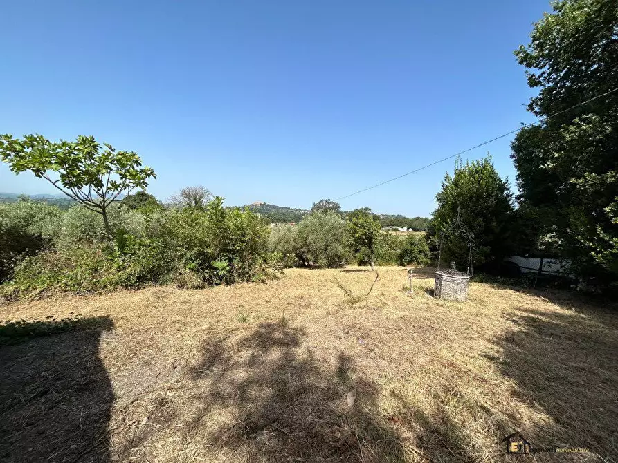 Immagine 6 di Villa in vendita  a Poggio Catino