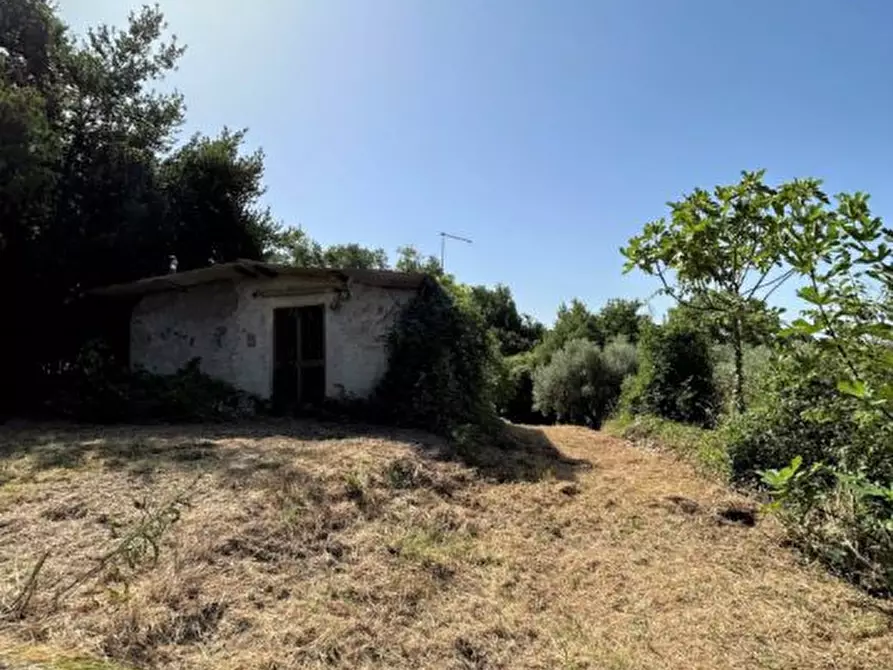 Immagine 2 di Villa in vendita  a Poggio Catino