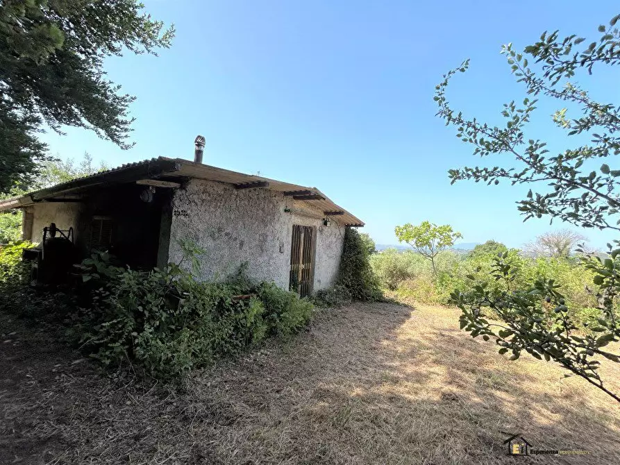 Immagine 1 di Villa in vendita  a Poggio Catino