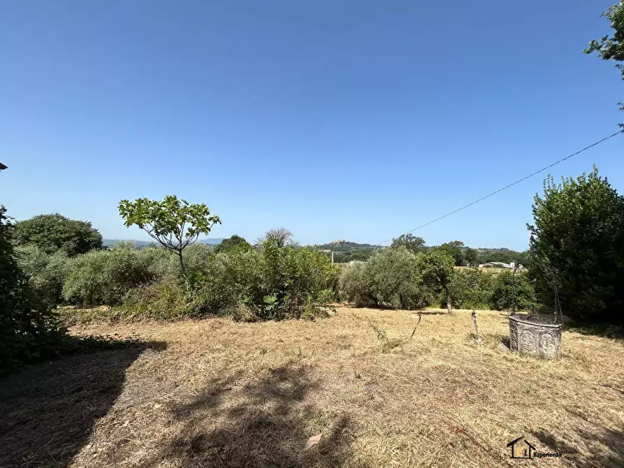 Immagine 9 di Villa in vendita  a Poggio Catino