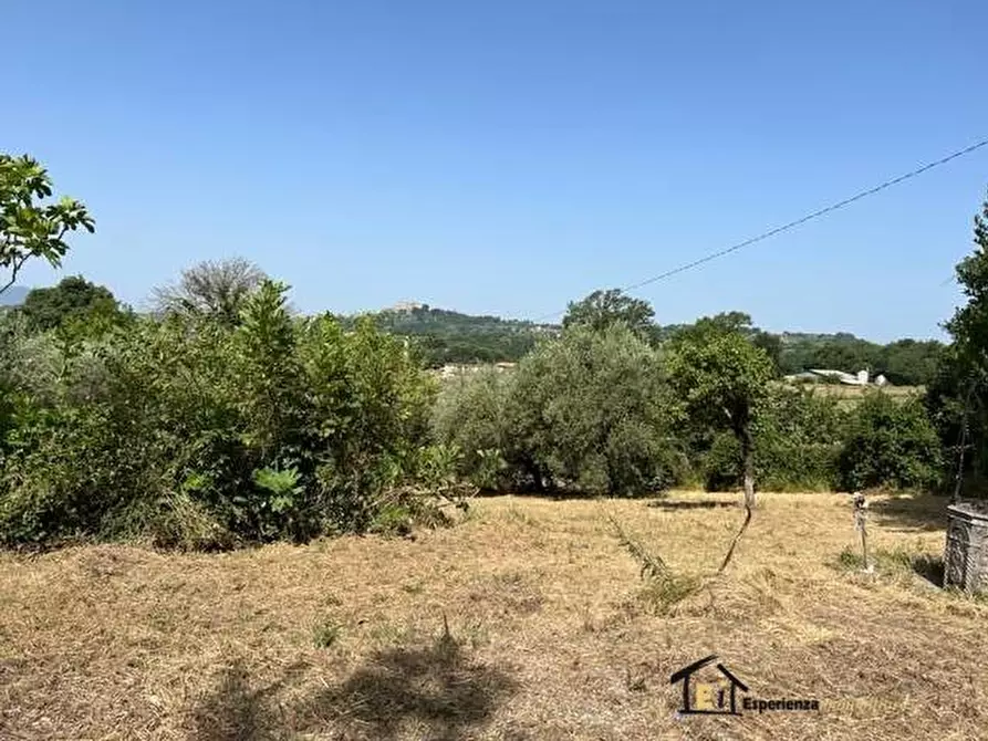 Immagine 7 di Villa in vendita  a Poggio Catino