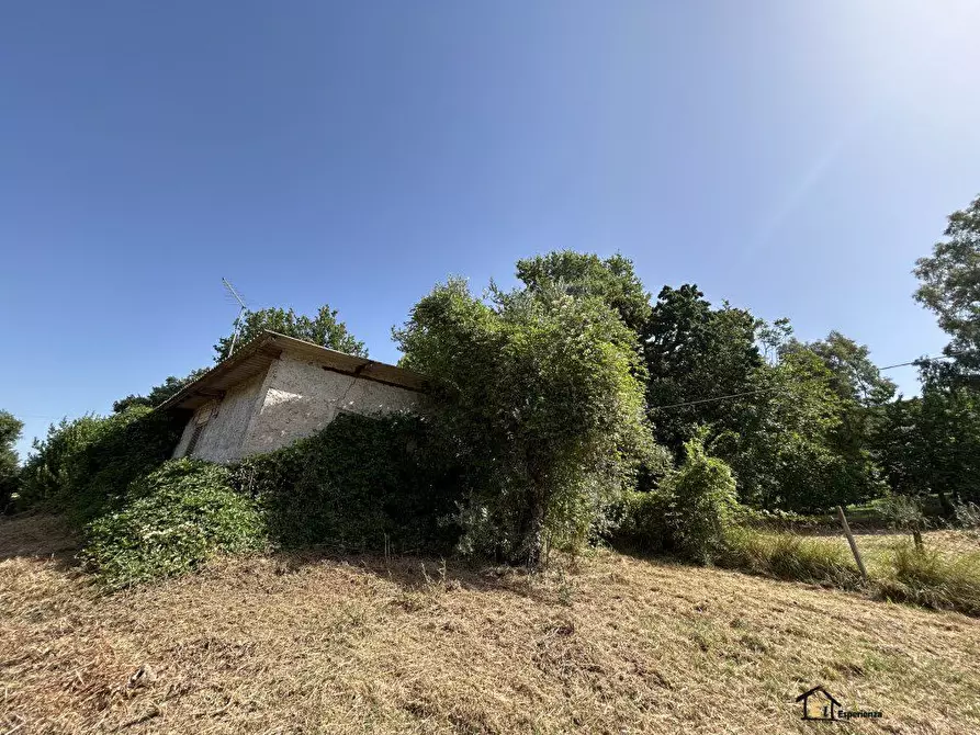 Immagine 3 di Villa in vendita  a Poggio Catino