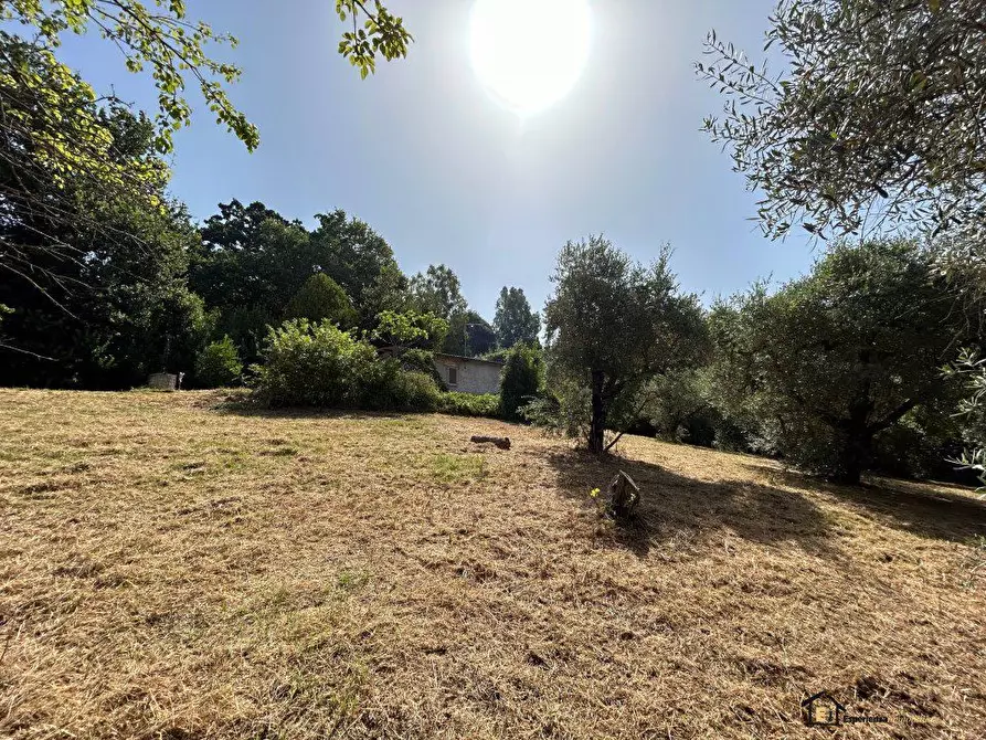 Immagine 4 di Villa in vendita  a Poggio Catino