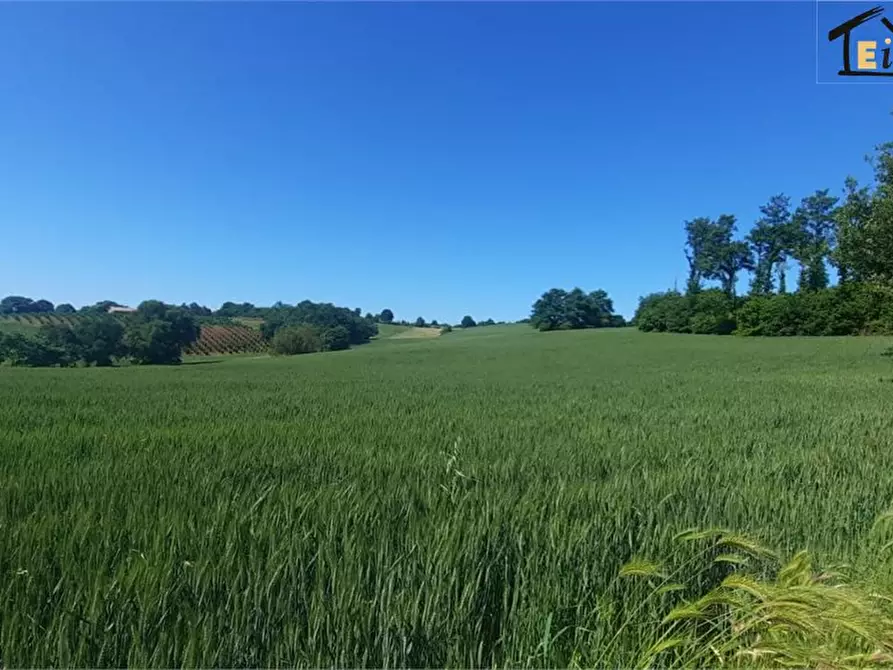 Immagine 3 di Rustico / casale in vendita  a Lubriano