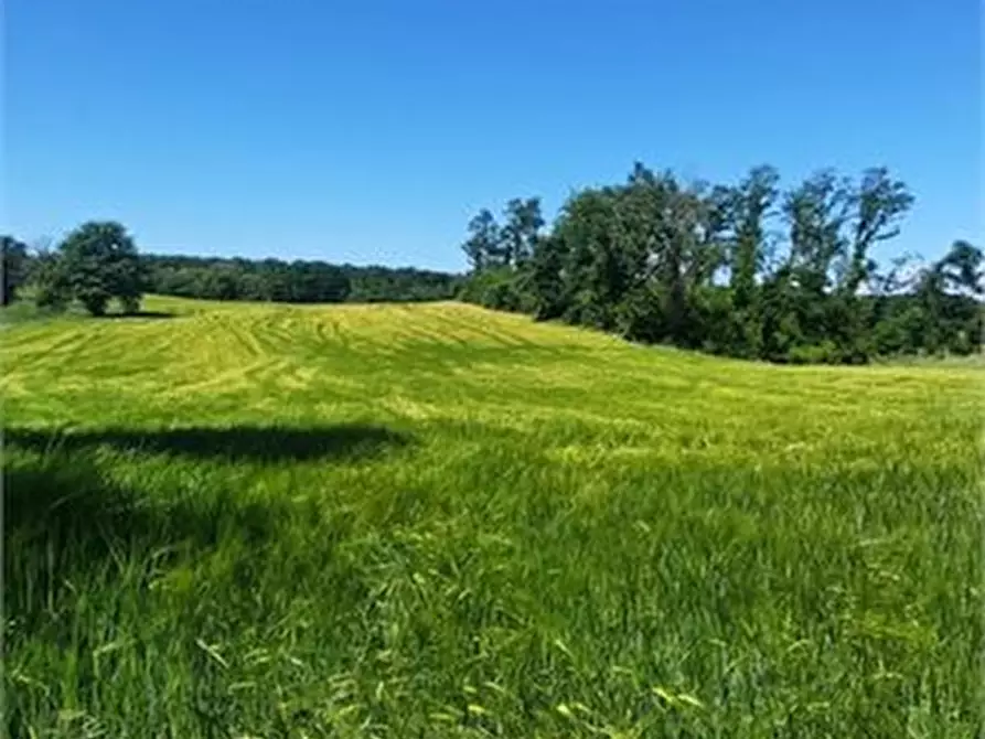 Immagine 2 di Rustico / casale in vendita  a Lubriano