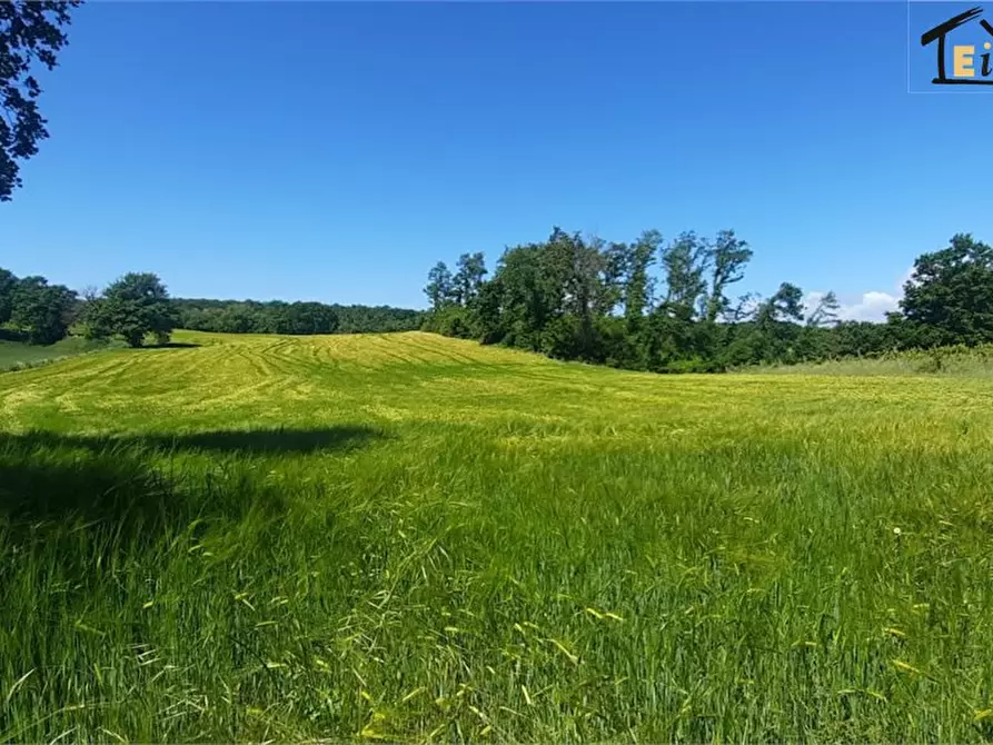 Immagine 4 di Rustico / casale in vendita  a Lubriano