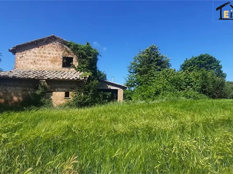 Immagine 1 di Rustico / casale in vendita  a Lubriano