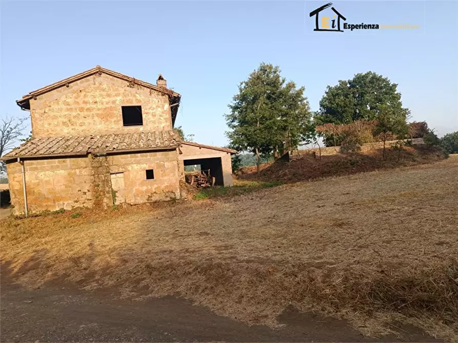 Immagine 6 di Rustico / casale in vendita  a Lubriano