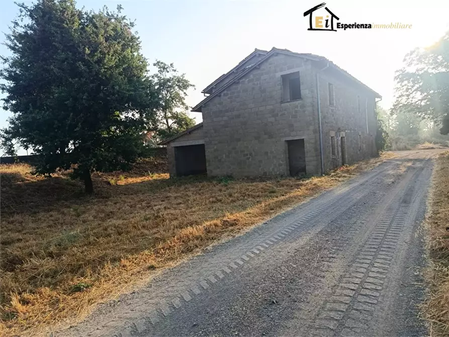 Immagine 7 di Rustico / casale in vendita  a Lubriano