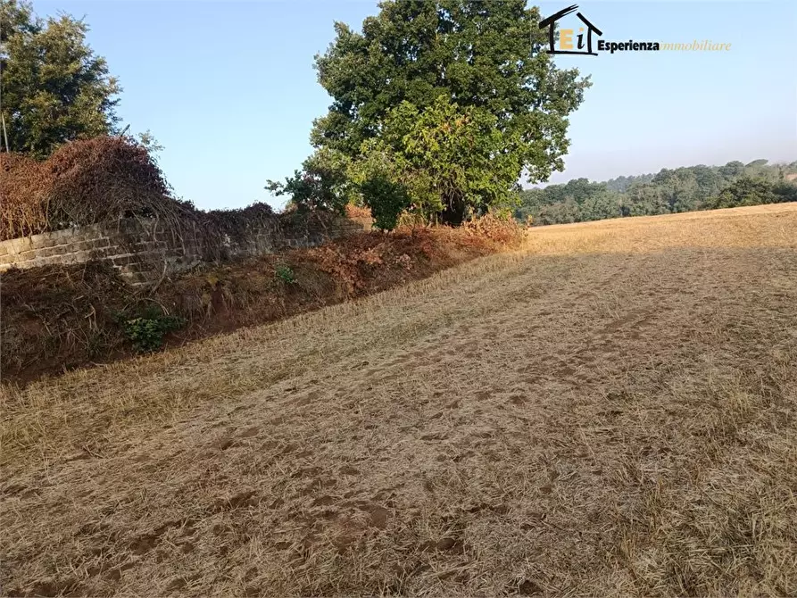 Immagine 8 di Rustico / casale in vendita  a Lubriano