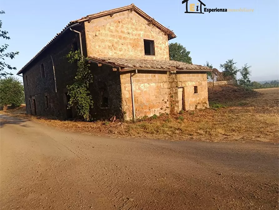 Immagine 5 di Rustico / casale in vendita  a Lubriano