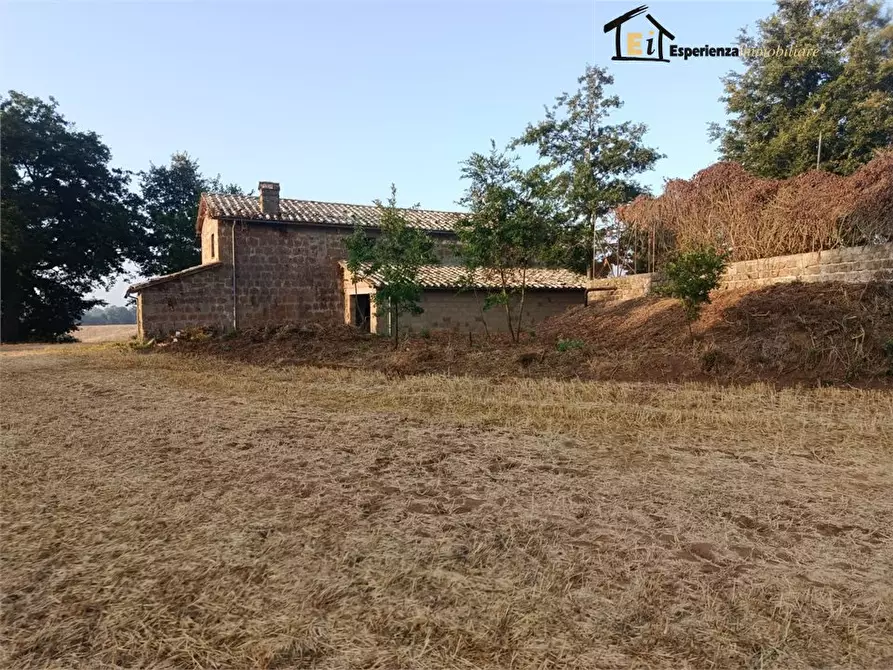 Immagine 9 di Rustico / casale in vendita  a Lubriano