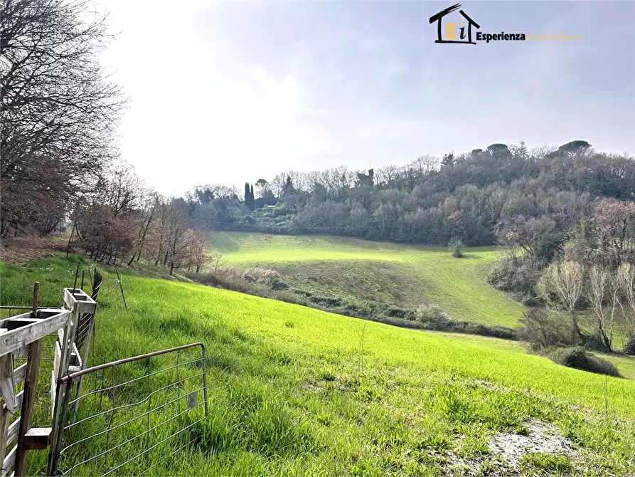 Immagine 7 di Terreno in vendita  snc a Montopoli Di Sabina