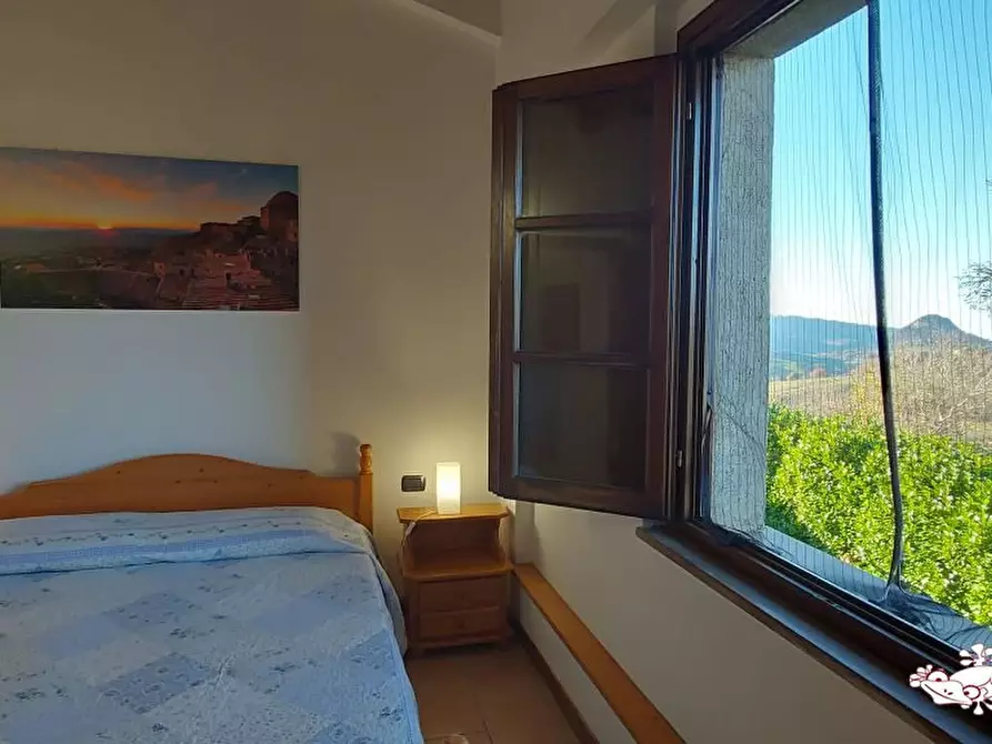 Immagine 8 di Appartamento in vendita  a Volterra