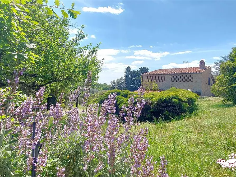 Immagine 2 di Villa in vendita  a San Gimignano