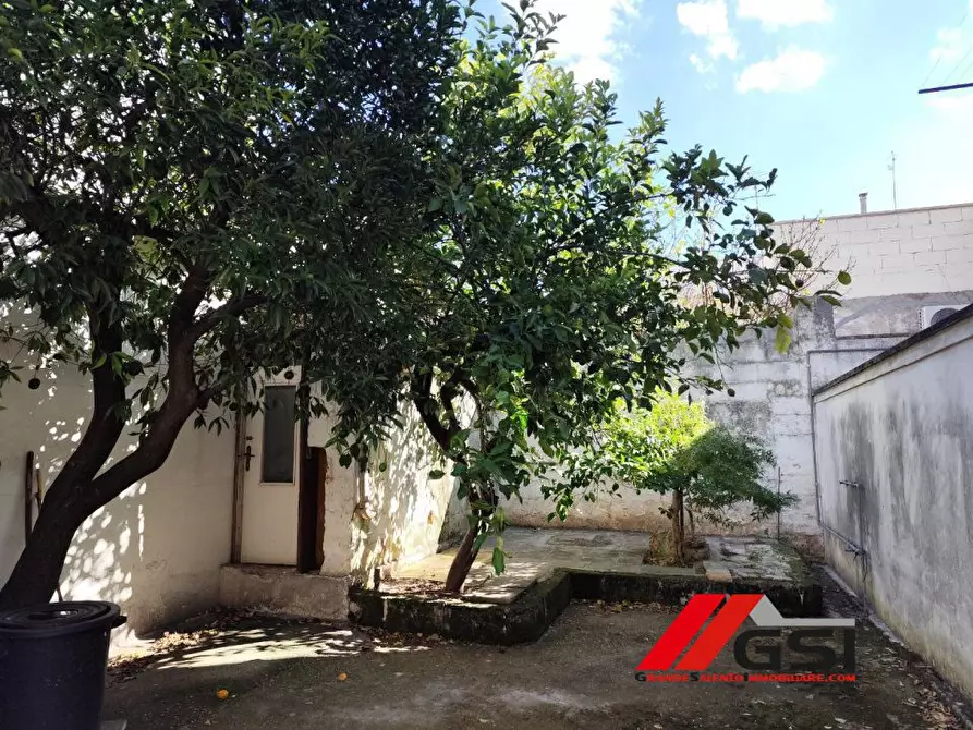 Immagine 5 di Villa in vendita  6 a San Michele Salentino