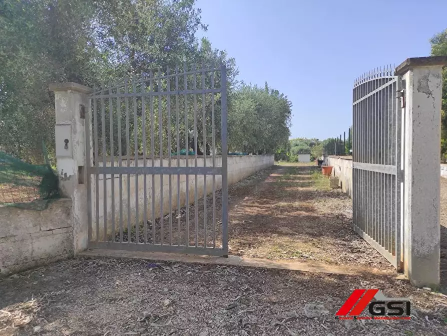 Immagine 7 di Rustico / casale in vendita  a Carovigno