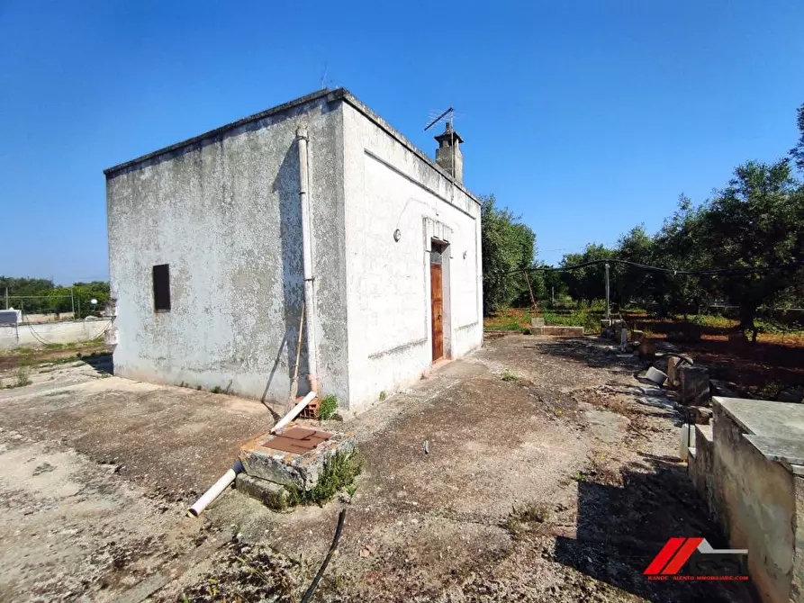 Immagine 10 di Rustico / casale in vendita  a Carovigno