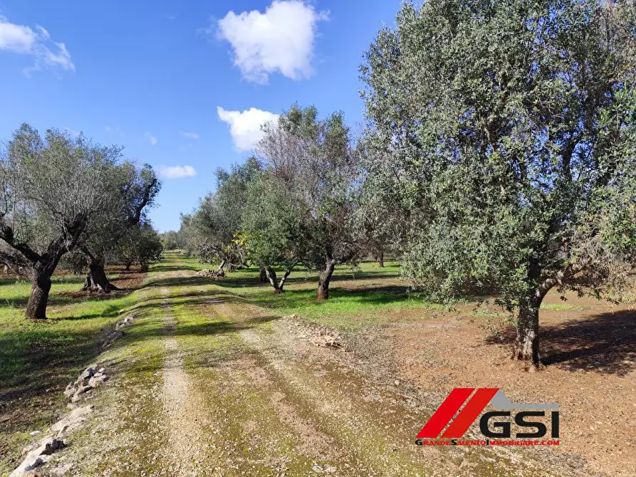 Immagine 9 di Rustico / casale in vendita  a Ceglie Messapico