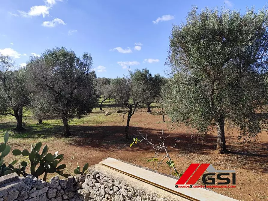 Immagine 10 di Rustico / casale in vendita  a Ceglie Messapico