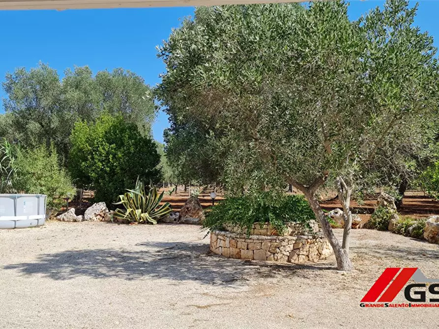 Immagine 7 di Rustico / casale in vendita  a Francavilla Fontana