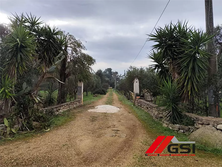Immagine 2 di Rustico / casale in vendita  sn a San Michele Salentino