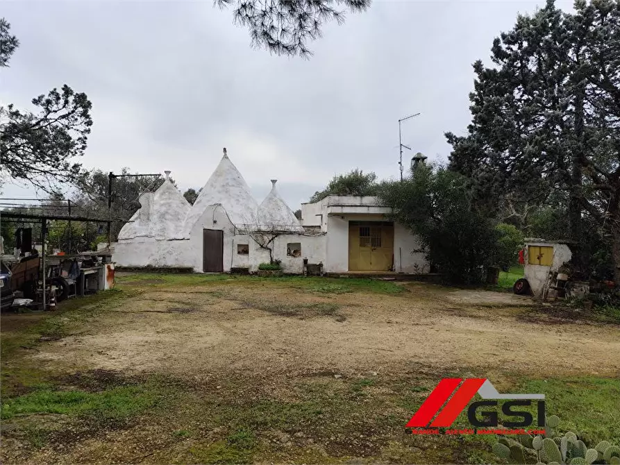 Immagine 4 di Rustico / casale in vendita  sn a San Michele Salentino