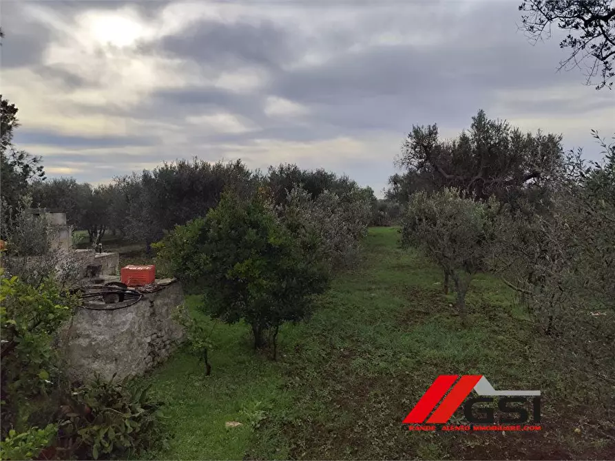 Immagine 9 di Rustico / casale in vendita  sn a San Michele Salentino