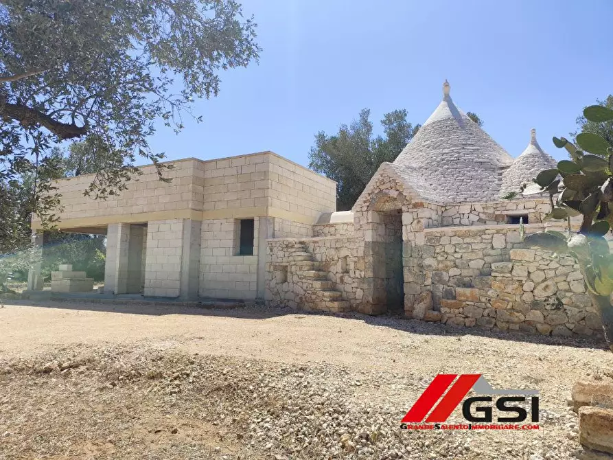 Immagine 3 di Rustico / casale in vendita  sn a San Michele Salentino