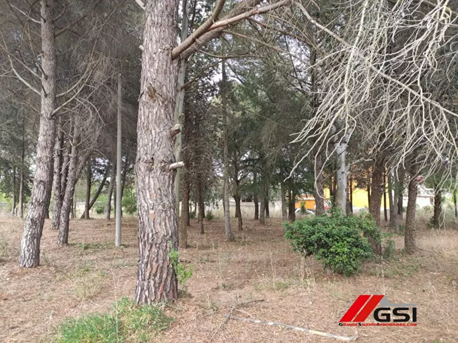 Immagine 5 di Villa in vendita  a Ceglie Messapico