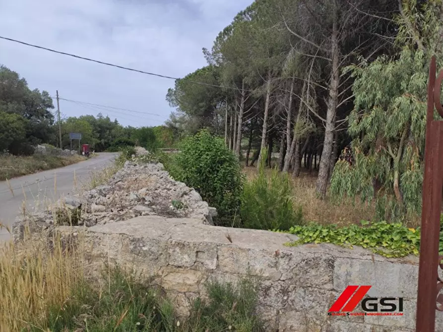 Immagine 3 di Villa in vendita  a Ceglie Messapico