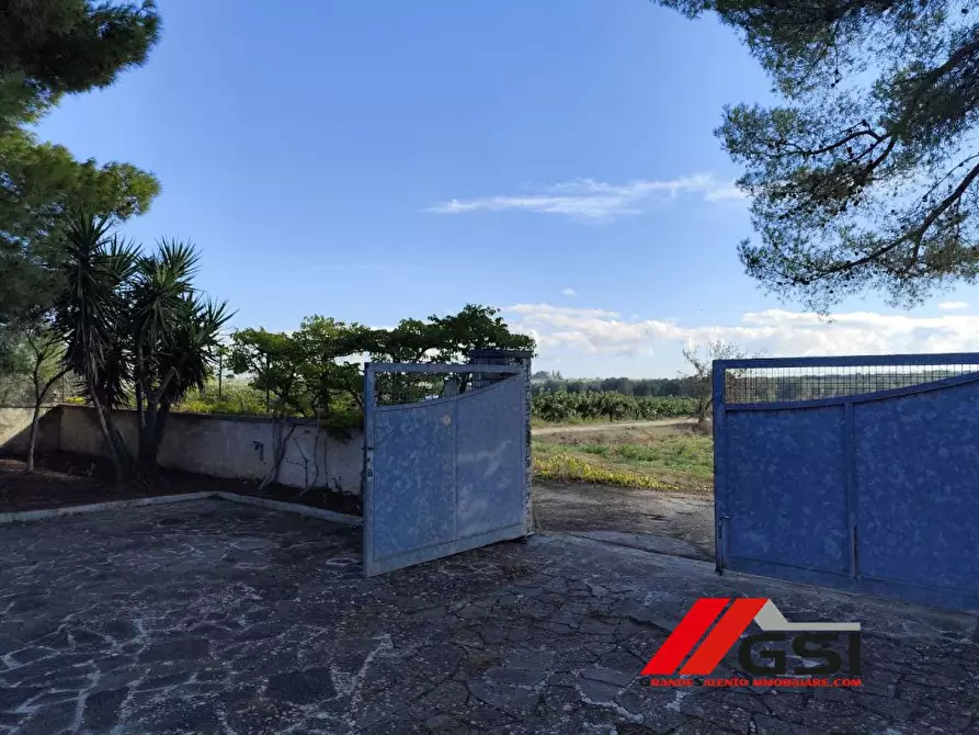 Immagine 9 di Villa in vendita  sn a San Vito Dei Normanni