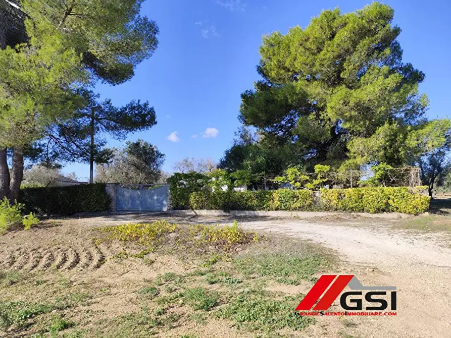 Immagine 7 di Villa in vendita  sn a San Vito Dei Normanni