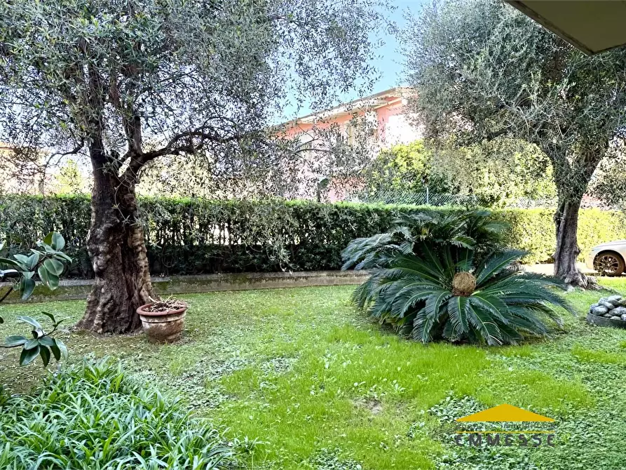 Immagine 1 di Appartamento in vendita  a Massa