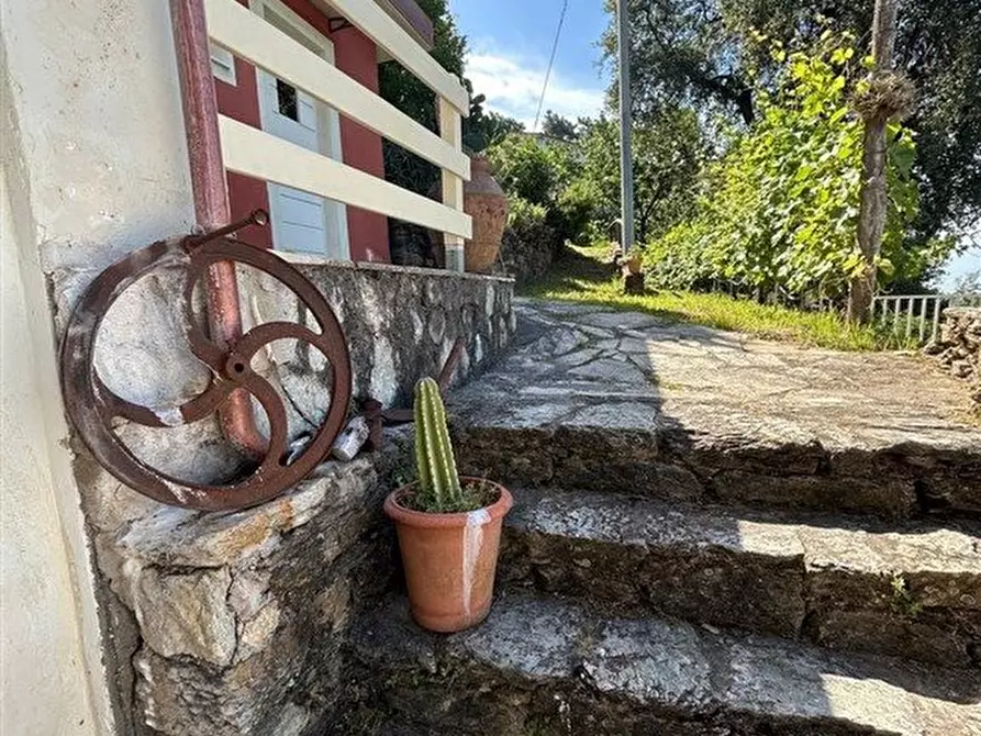 Immagine 4 di Casa indipendente in vendita  a Seravezza