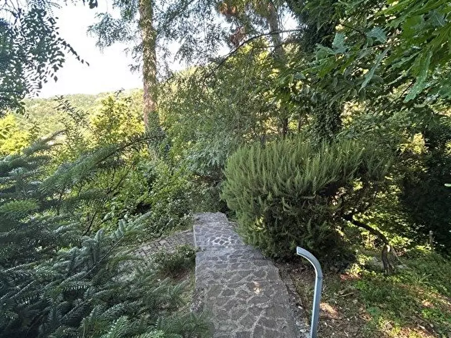 Immagine 5 di Casa indipendente in vendita  a Seravezza
